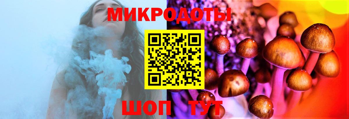 продажа наркотиков  Псилоцибиновые грибы прущие грибы  Наро-Фоминск  Вход с VPN  Галлюциногенные грибы ЛСД 